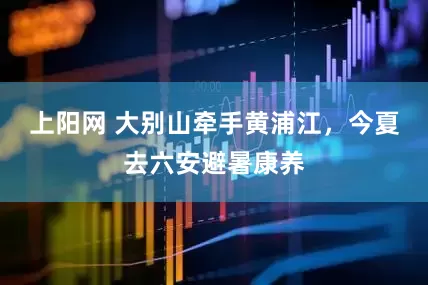 上阳网 大别山牵手黄浦江，今夏去六安避暑康养
